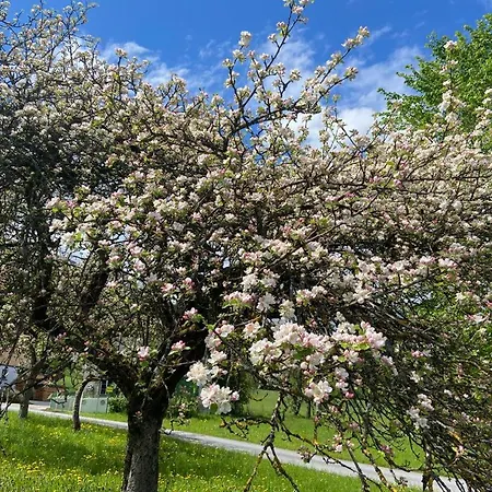 Chalet Kultique Innerschwand