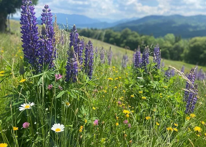 Kultique شاليه *