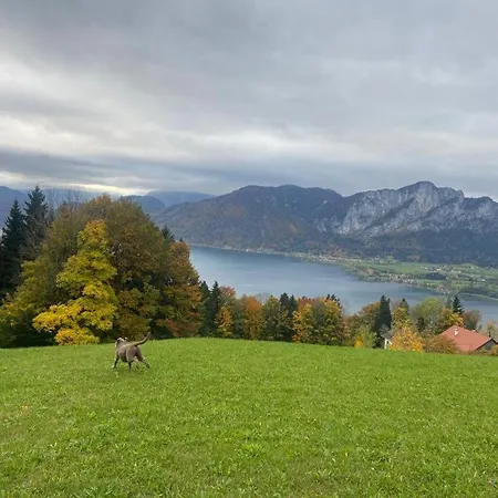 Kultique * Innerschwand