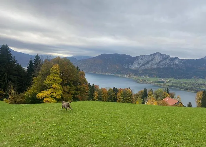 Kultique * Innerschwand