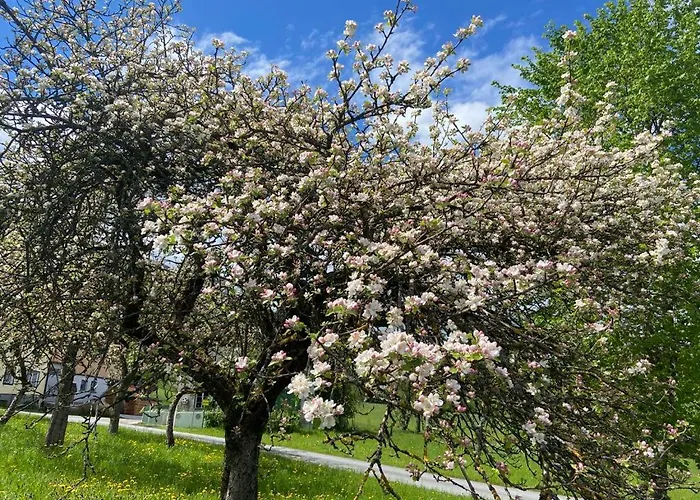 Alpstuga Kultique Innerschwand